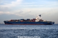 Sydney Trader OS-131016-13.jpg