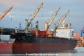 Star Crios (KB-D211219-01).jpg