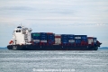 Tiger Ocean OS-071022-20.jpg