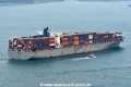 Wan Hai 613 HK-031223-2.jpg