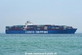 Xin Da Lian OS-101019-08.jpg