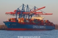 Xin Lian Yun Gang TL-310321-2.jpg