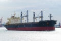 Tomini Oroshi (MB-250722-1).jpg