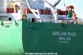 Arklow Muse Kollisionsschaden (OK-110314-1).jpg