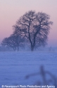 Winterimpression 9103-10.jpg