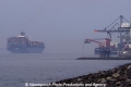 Marit-Impr Elbe 18304.jpg