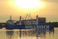 Rolldock Storm (LW-220514-24).jpg
