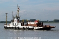 Elbclearing 8 TL-190515-3.jpg