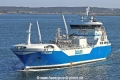 Coralius TL-300523-1.jpg