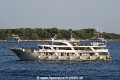 Melody 260824-2.jpg