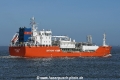 Coral Star JG-070420-03.jpg