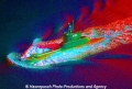 U-11 (K030987-Art).jpg