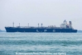 Apollo Genkai (MS-171007-01).jpg