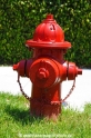 Hydrant-Florida-USA 120409-02.jpg