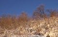 Winterimpression HH 9103-2.jpg