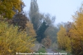 Herbstimpression 121112-09.jpg