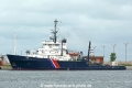 Abeille Languedoc (US-250516-0).jpg