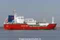 Coral Star (KK-010516-2).jpg