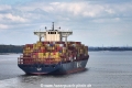 MSC Aby 230424-1.jpg