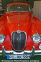 Jaguar 291004-3.jpg