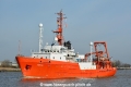 Aurelia (MB-280215-4).jpg