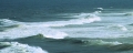 Brandung Durban -1.jpg