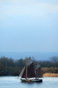 Anna 060415-03.jpg