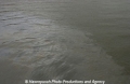 Oelfilm auf Wasser-01.jpg