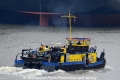 Birk-B 160313.jpg