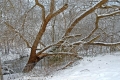 Winterimpression-Natur CS-30110-06.jpg