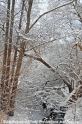 Winterimpression-Natur CS-30110-05.jpg