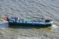 Taucher K 310823-3.jpg
