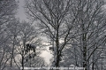 Winterimpression 24205-7.jpg