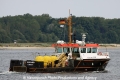 Bussard (JS-150612-03).jpg