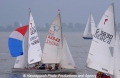 Segelregatta 8701-1.jpg