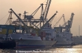 Fruchtterminal Hamburg 151001.jpg