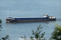 Eider 170614.jpg