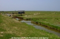 Hallig Hooge 11502-2.jpg