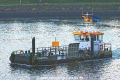 Francisca TL-041022-1.jpg