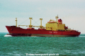 Asian Reefer (OK-2000-0).jpg