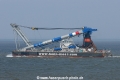 Matador 3 (JG-080807-2).jpg