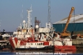 VOS Sailor (JS-200113-01).jpg
