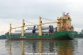 AAL Geelong (MB-310524-6).jpg