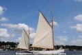 Artemis 13708-04.jpg