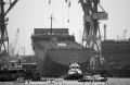 Cosco Brisbane (091204-04).jpg