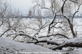 Winter-Elbe-HH CS-30110-07.jpg