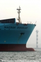 Maersk Douglas Bug+LF-Rdam 51005-MS.jpg