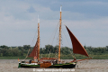 Heinrich (SW-240710-10).jpg