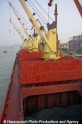 Nantong-Bulkerdeck 100507-09-OS.jpg