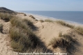 Sylt-Landschaftsimpression 150407-12.jpg